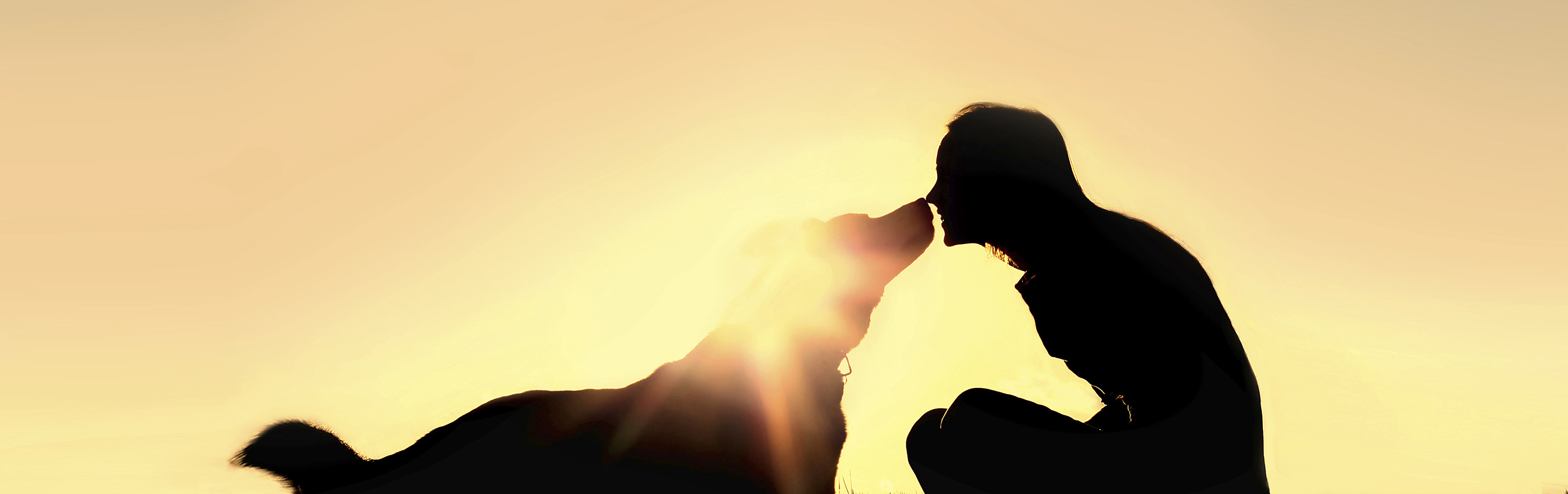 Silhouette of woman with dog